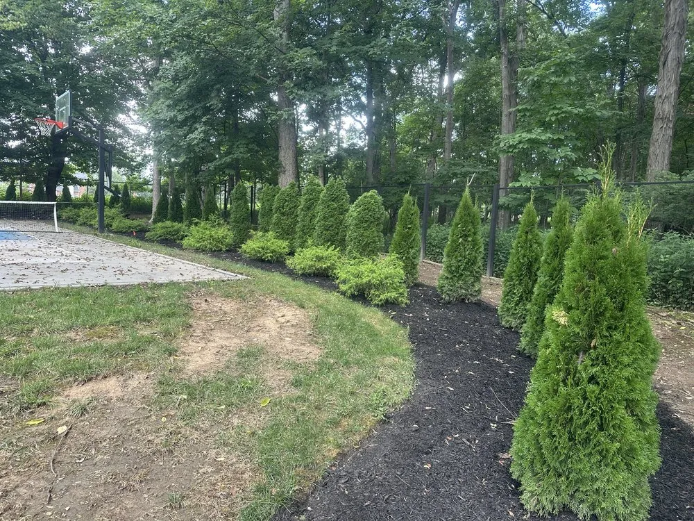 Top-rated lawn mowing service with custom design in Prospect, KY by Modern Home Builders