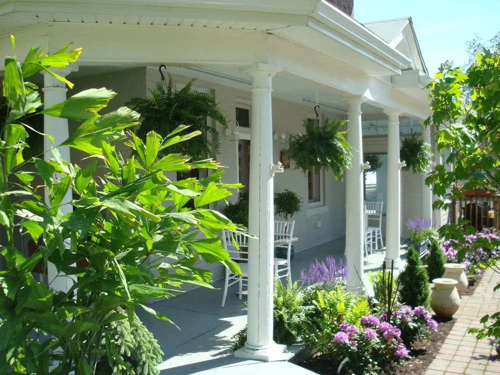 Reliable yard cleanup service in Reedsville, WV - Modern Homestead