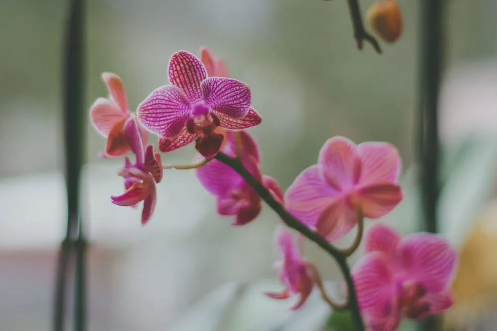 Expert landscaping services experts serving Reedsville, WV - Modern Homestead