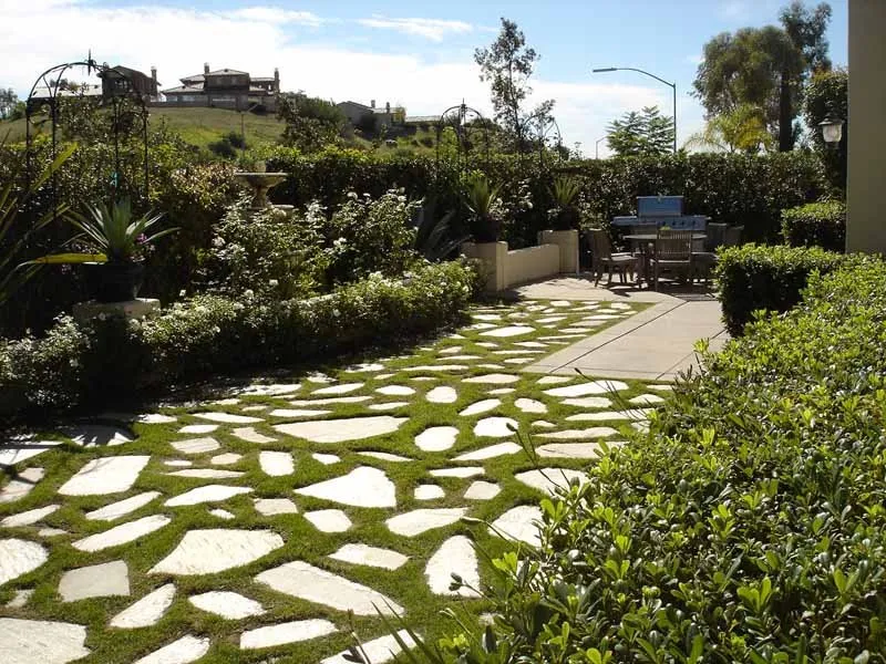 Professional lawn care service for year-round maintenance in Bonita, CA by Modern Image Landscape Construction