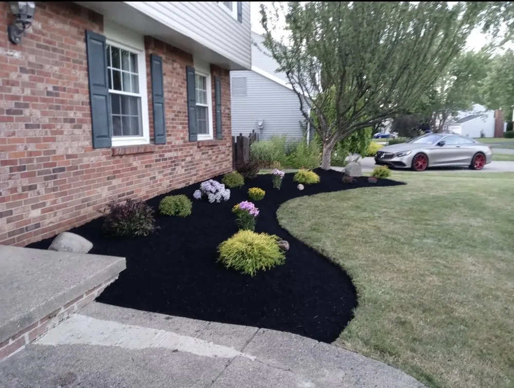 Professional lawn care service experts serving Buffalo, NY - Modern Landscape & Maintenance