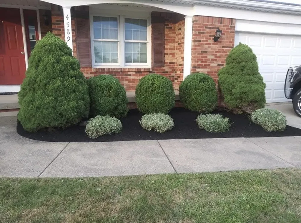 Expert lawn care service with custom design in Buffalo, NY by Modern Landscape & Maintenance