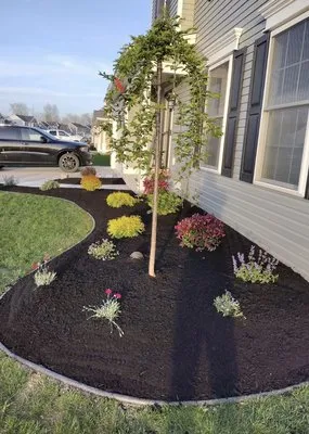 Modern Landscape & Maintenance Logo