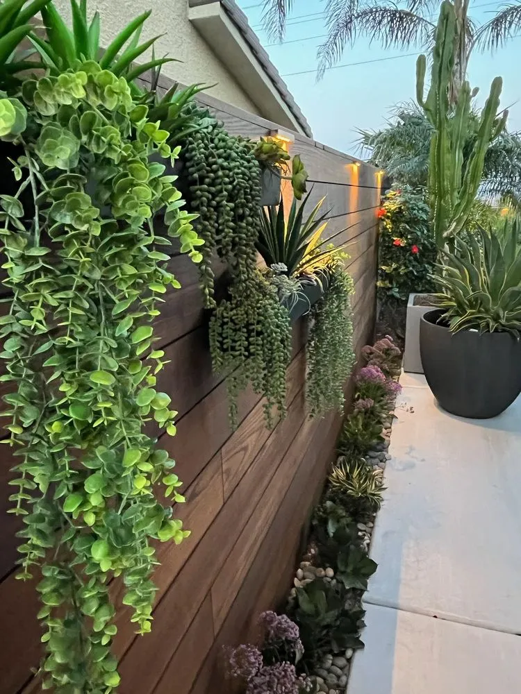 Trusted yard maintenance in Las Vegas, NV by Modern Landscape