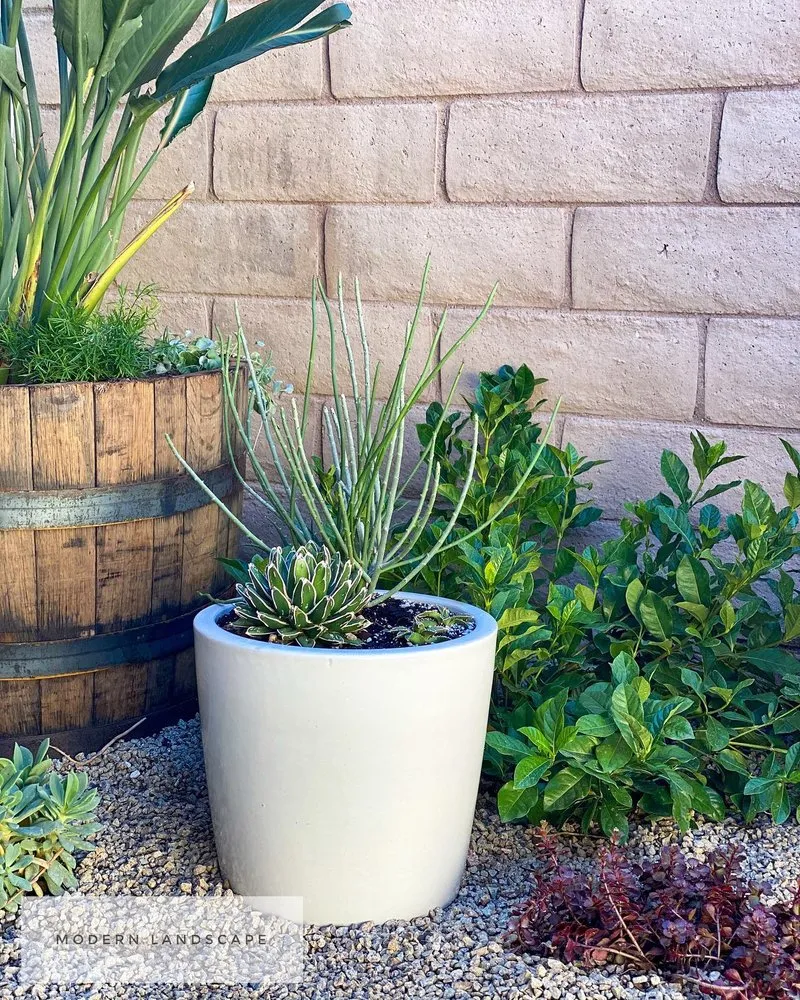 Trusted yard maintenance experts serving Las Vegas, NV - Modern Landscape