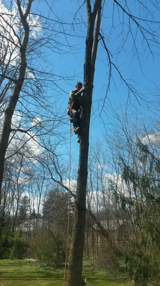 Top-rated yard maintenance for homes in Ambler, PA by Modern Landscapes