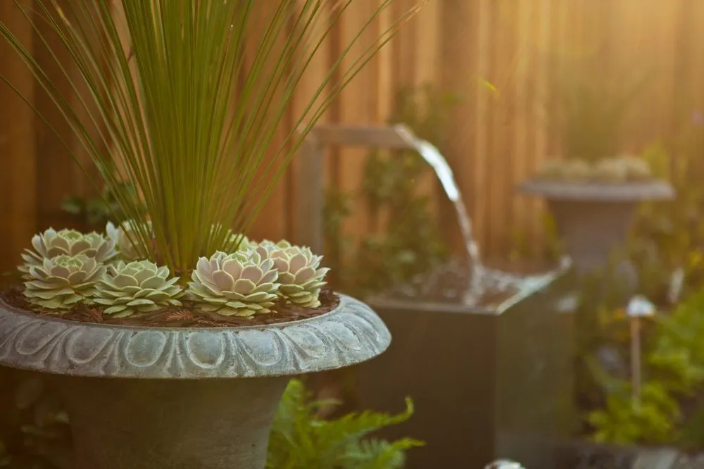 Reliable yard maintenance in Campbell, CA - Modern Landscaping