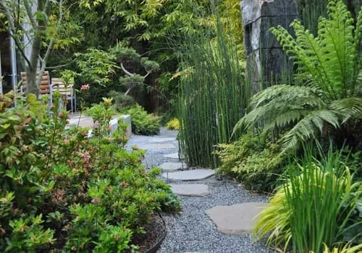 Reliable yard maintenance for homes in Campbell, CA by Modern Landscaping