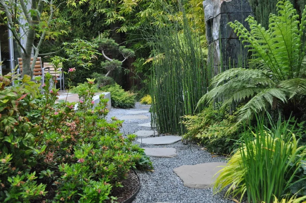Affordable yard maintenance experts serving Campbell, CA - Modern Landscaping