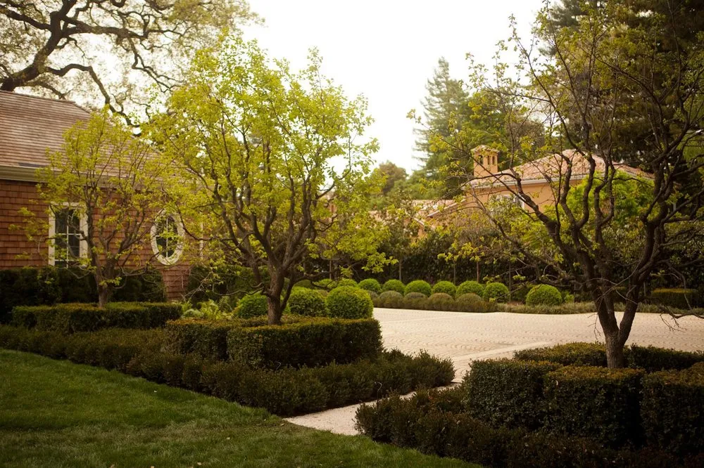 Expert landscaping services experts serving Campbell, CA - Modern Landscaping