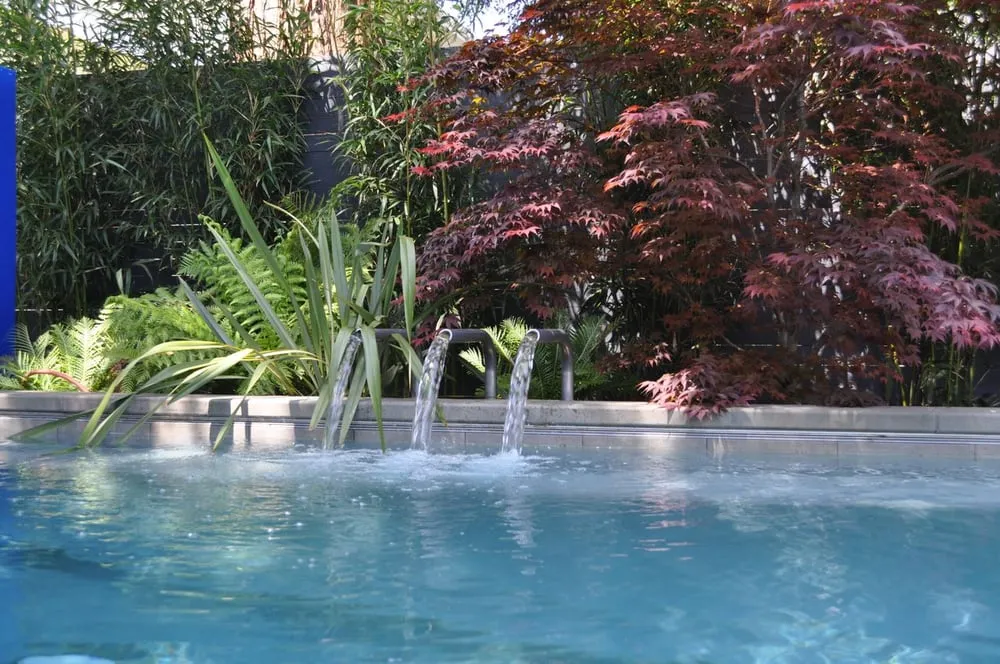 Local yard maintenance near you across Campbell, CA - Modern Landscaping