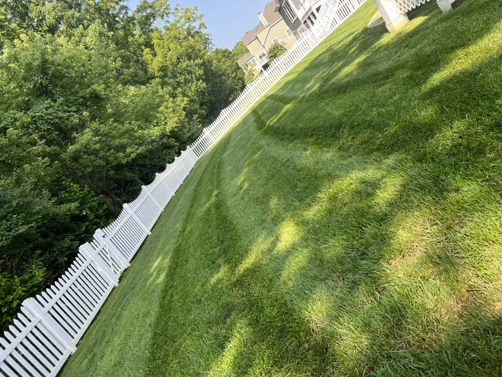 Affordable yard maintenance in Wilmington, DE by Modern Landscaping