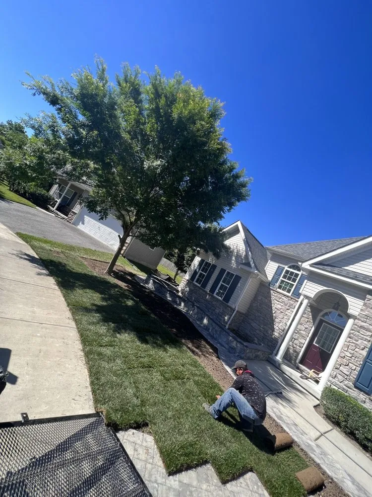 Top-rated residential landscaping for outdoor upgrades across Wilmington, DE - Modern Landscaping