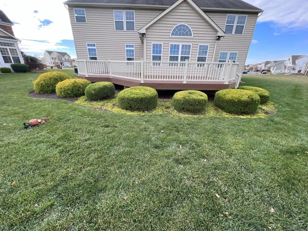 Trusted yard cleanup service in Wilmington, DE by Modern Landscaping