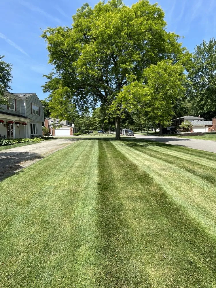 Reliable landscaping services experts serving Novi, MI - Modern Lawn & Snow