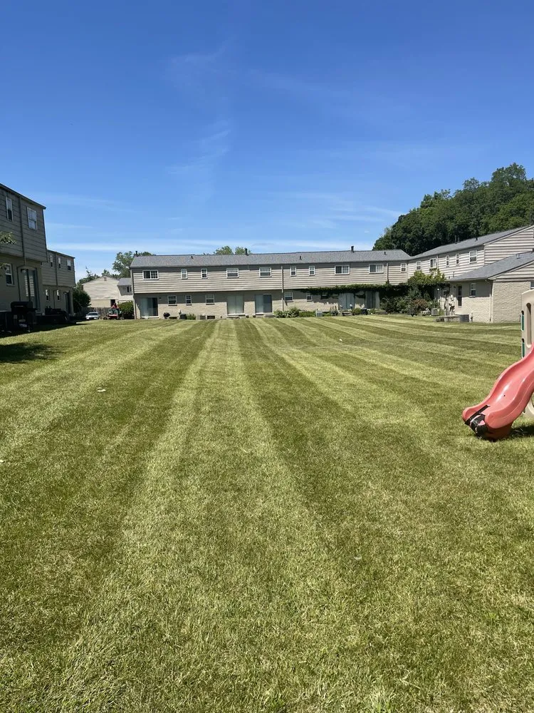 Professional lawn mowing service in Novi, MI - Modern Lawn & Snow