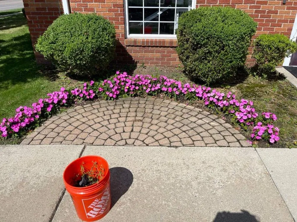 Affordable residential landscaping for residential properties in Novi, MI by Modern Lawn & Snow