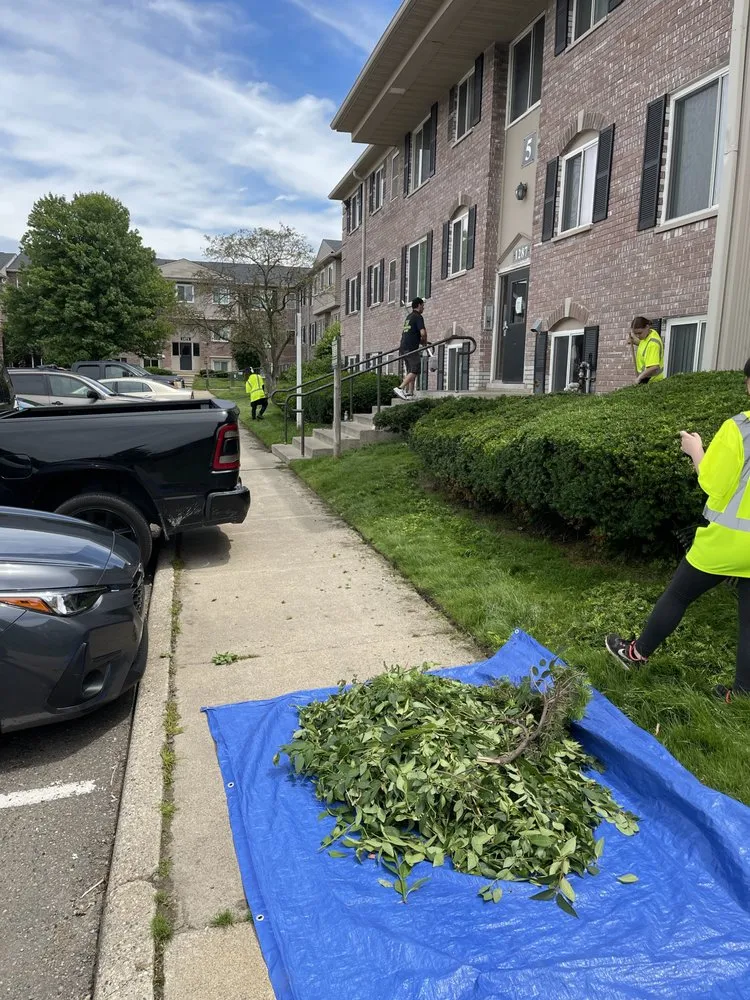 Affordable yard maintenance for beautiful yards across Novi, MI - Modern Lawn & Snow