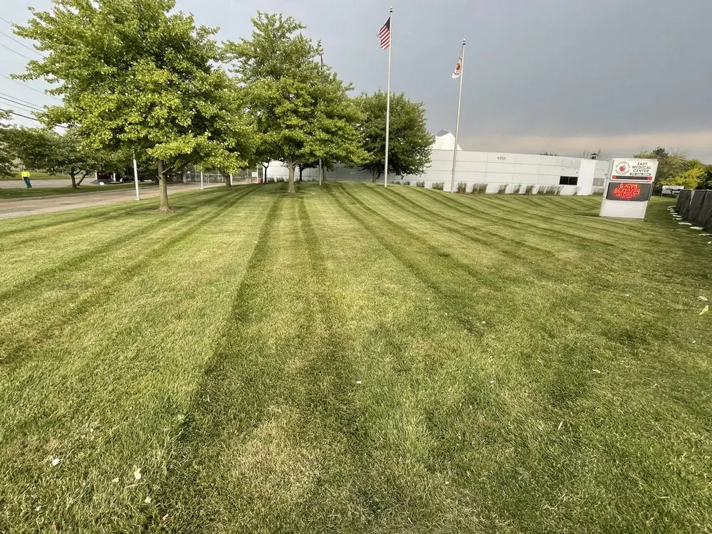 Custom yard cleanup service with custom design in Novi, MI by Modern Lawn & Snow