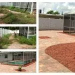Affordable garden landscaping in Winter Park, FL - Modern Lawn Care