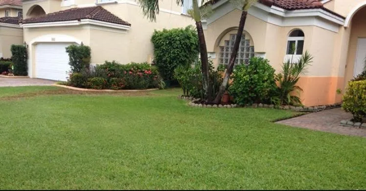 Professional landscape design in Winter Park, FL by Modern Lawn Care