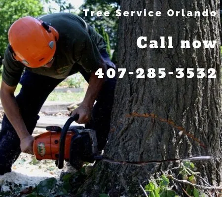 Modern Lawn Care Logo