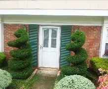 Trusted yard cleanup service for residential properties in Somerset, NJ by Modern Lawn Service