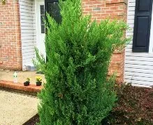 Affordable outdoor landscaping experts serving Somerset, NJ - Modern Lawn Service