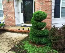 Affordable outdoor landscaping in Somerset, NJ by Modern Lawn Service