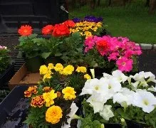 Trusted lawn mowing service experts serving Somerset, NJ - Modern Lawn Service