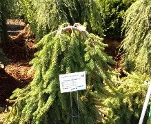 Trusted outdoor landscaping for year-round maintenance across Somerset, NJ - Modern Lawn Service