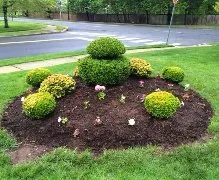 Trusted yard cleanup service in Somerset, NJ by Modern Lawn Service
