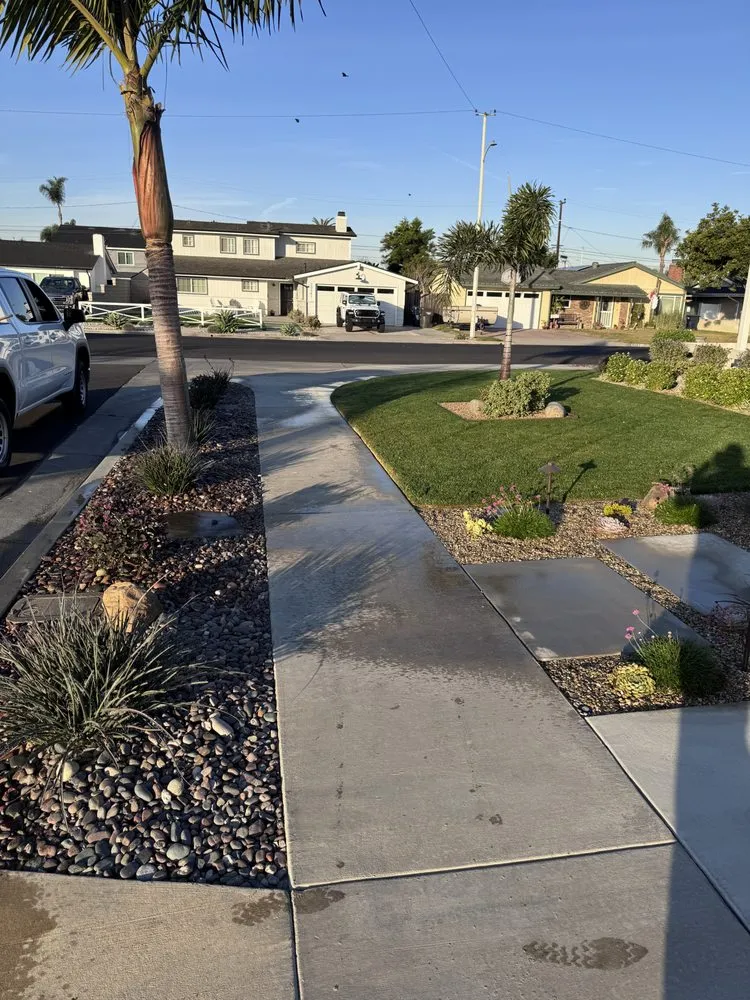 Reliable yard cleanup service in Costa Mesa, CA by Modern Lawns