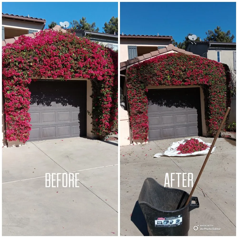 Professional garden landscaping near you across Costa Mesa, CA - Modern Lawns