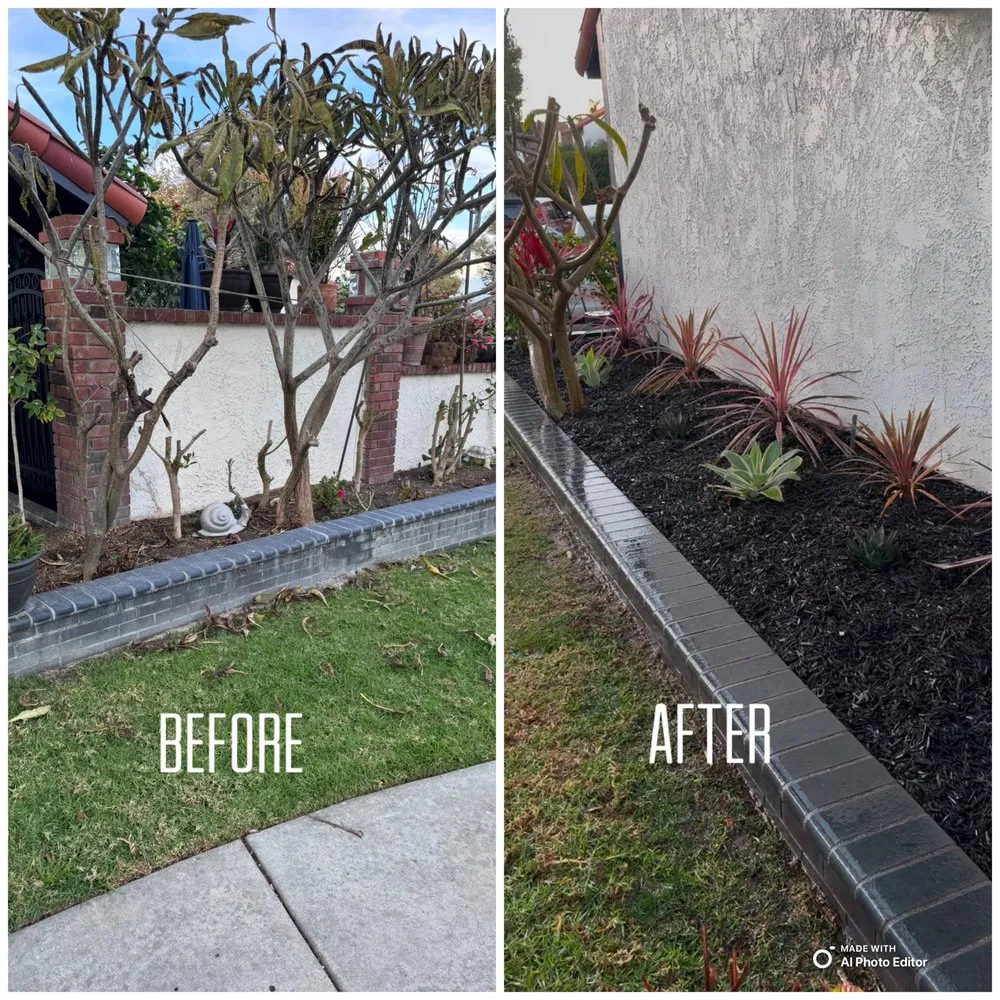 Reliable lawn mowing service for outdoor upgrades across Costa Mesa, CA - Modern Lawns