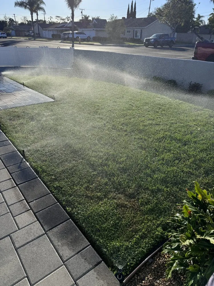 Expert lawn care service experts serving Costa Mesa, CA - Modern Lawns