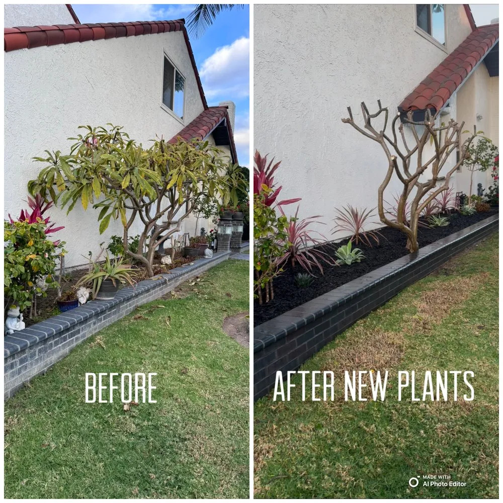 Expert yard maintenance experts serving Costa Mesa, CA - Modern Lawns