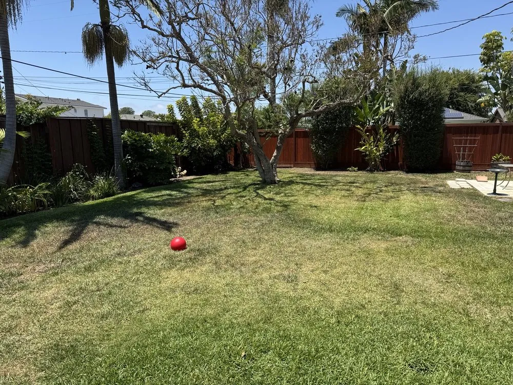 Custom landscape installation for residential properties in Costa Mesa, CA by Modern Lawns