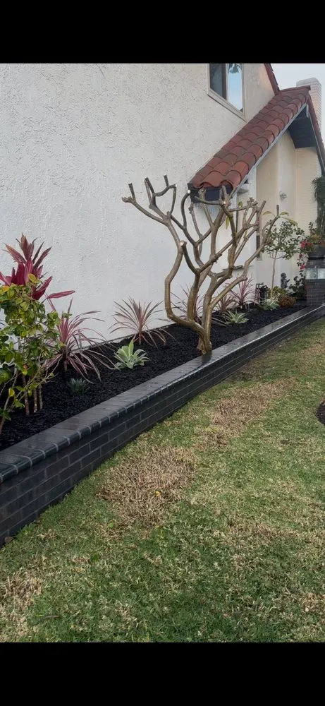 Professional garden landscaping in Costa Mesa, CA - Modern Lawns