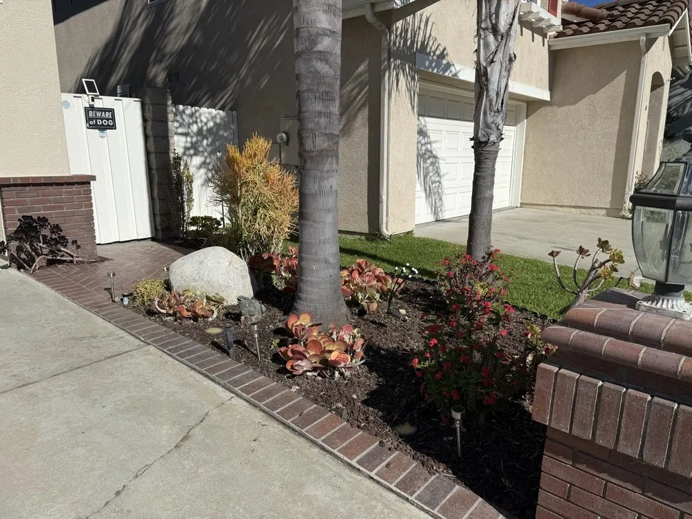 Local landscaping services experts serving Costa Mesa, CA - Modern Lawns