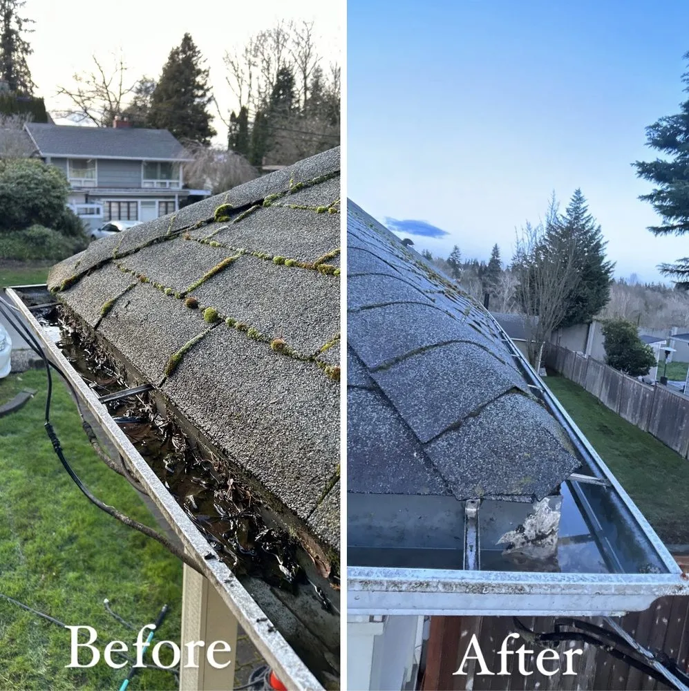 Local yard maintenance for beautiful yards across Renton, WA - Modern Living Landscaping