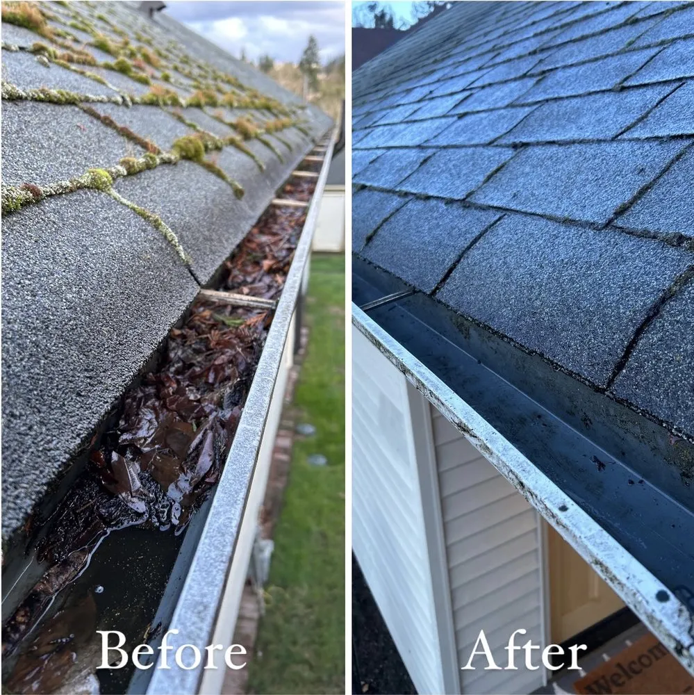 Affordable yard cleanup service for year-round maintenance across Renton, WA - Modern Living Landscaping