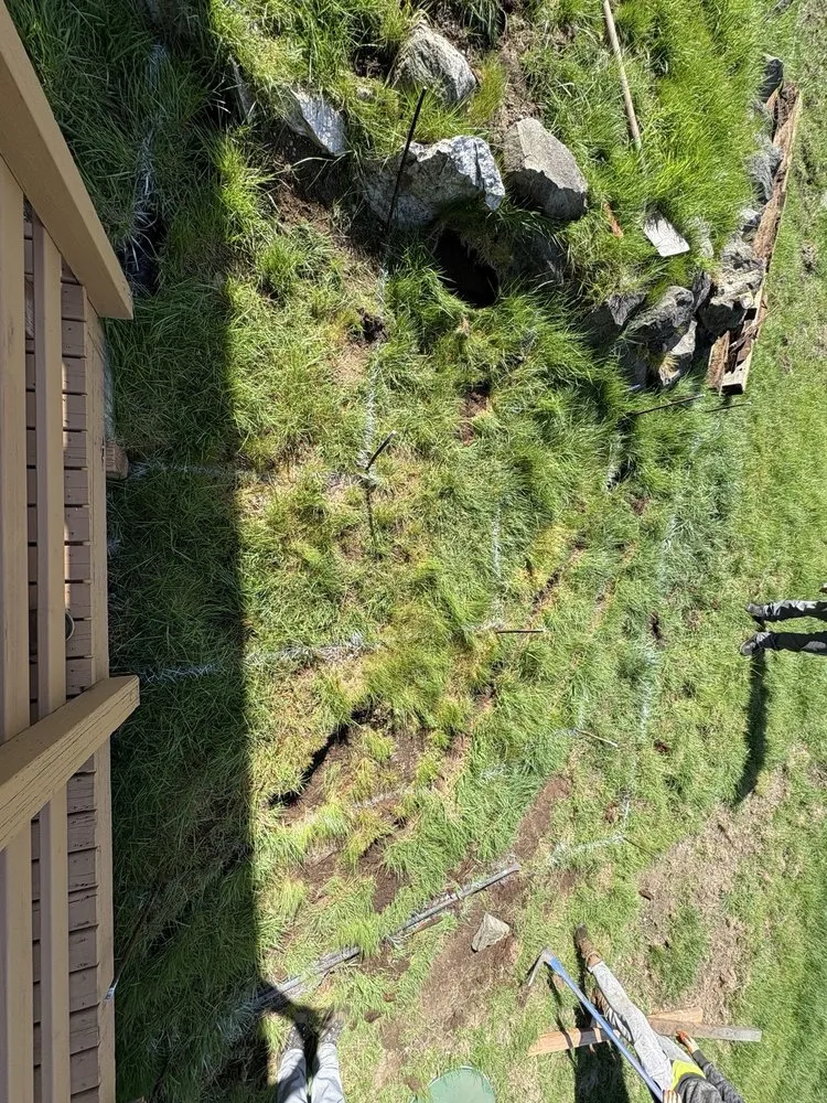 Professional yard maintenance in Renton, WA by Modern Living Landscaping