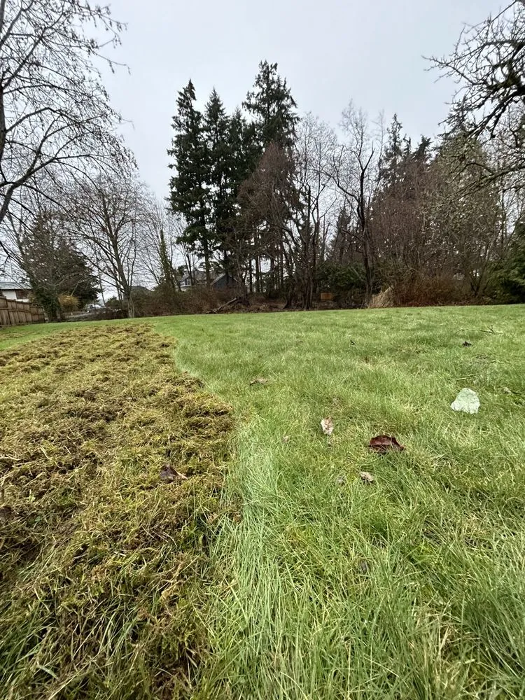 Custom lawn care service in Renton, WA - Modern Living Landscaping