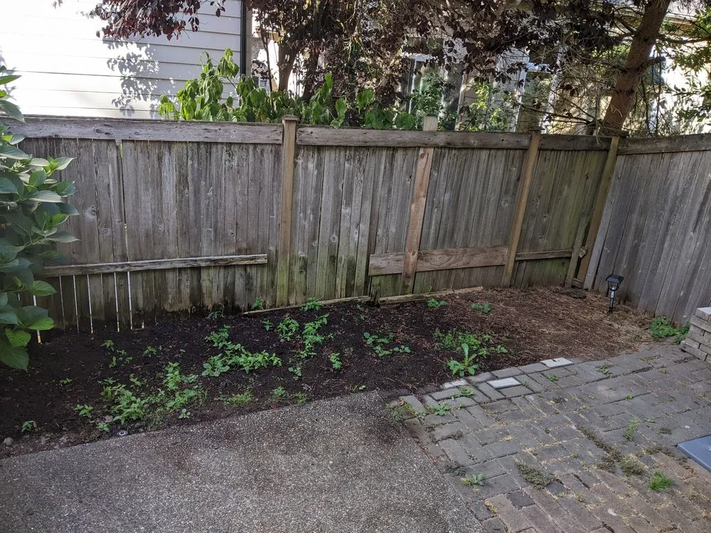 Affordable garden landscaping in Renton, WA - Modern Living Landscaping