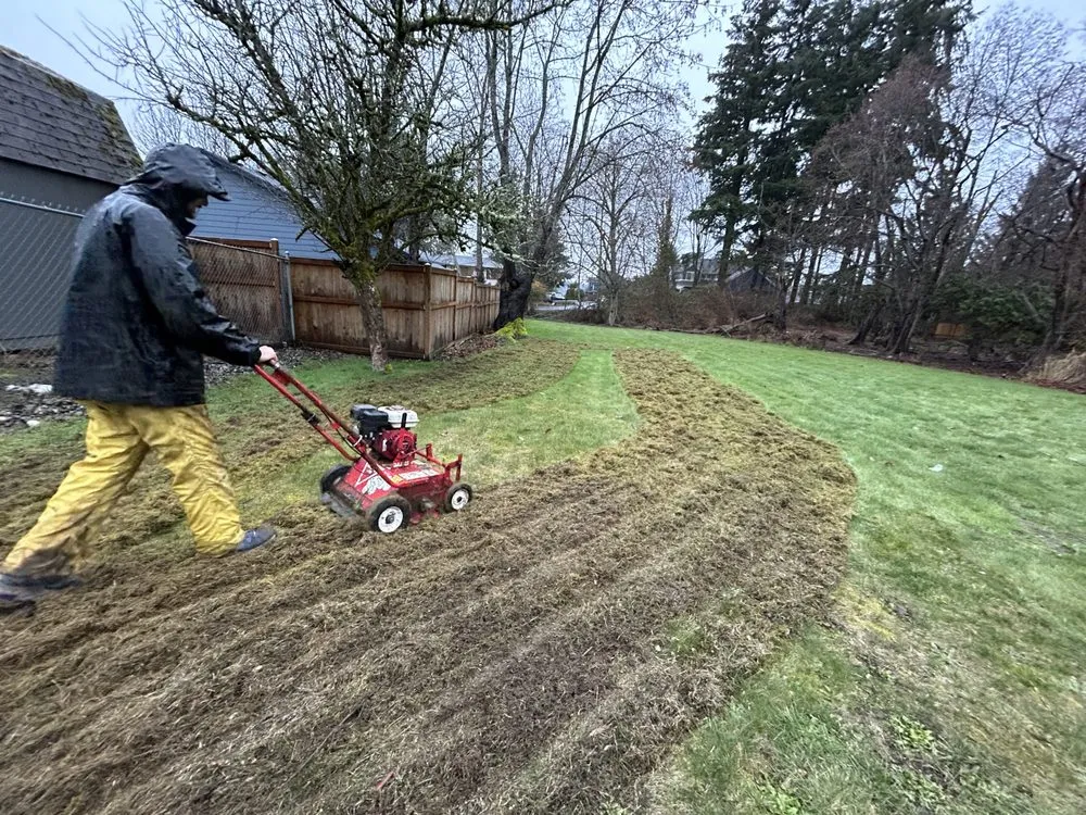 Custom landscape installation experts serving Renton, WA - Modern Living Landscaping