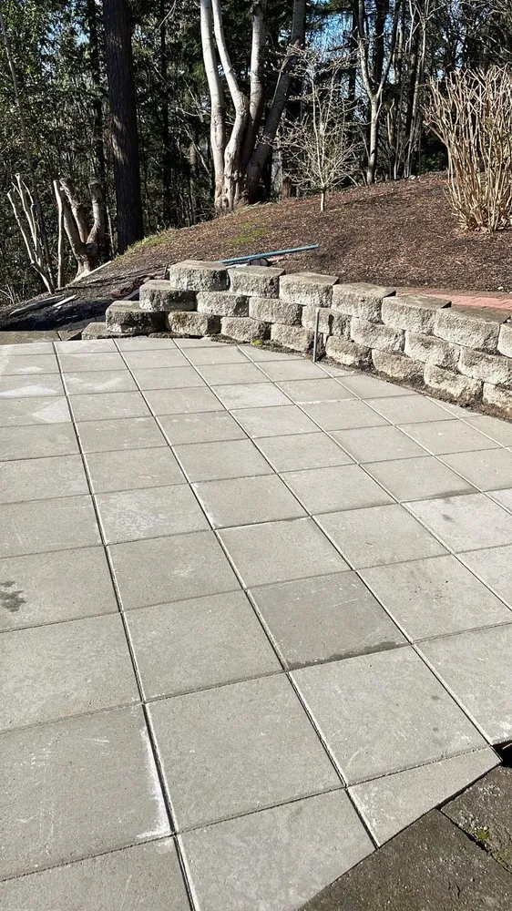 Expert yard cleanup service in Redmond, WA - Modern Lots