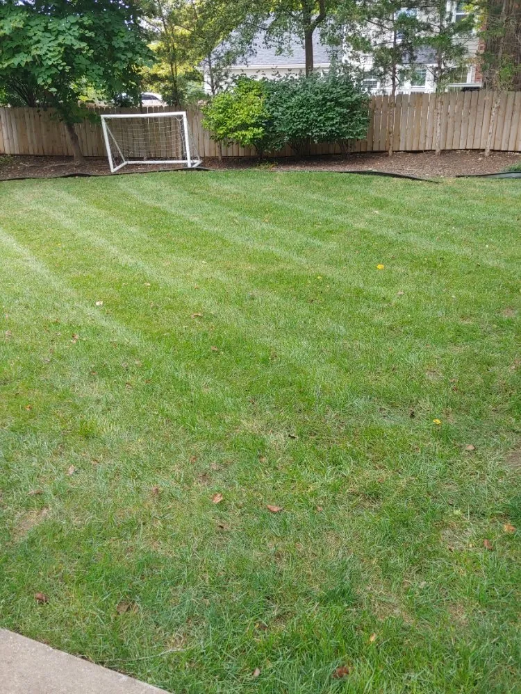 Trusted yard cleanup service for homes in Lenexa, KS by Modern Marvels