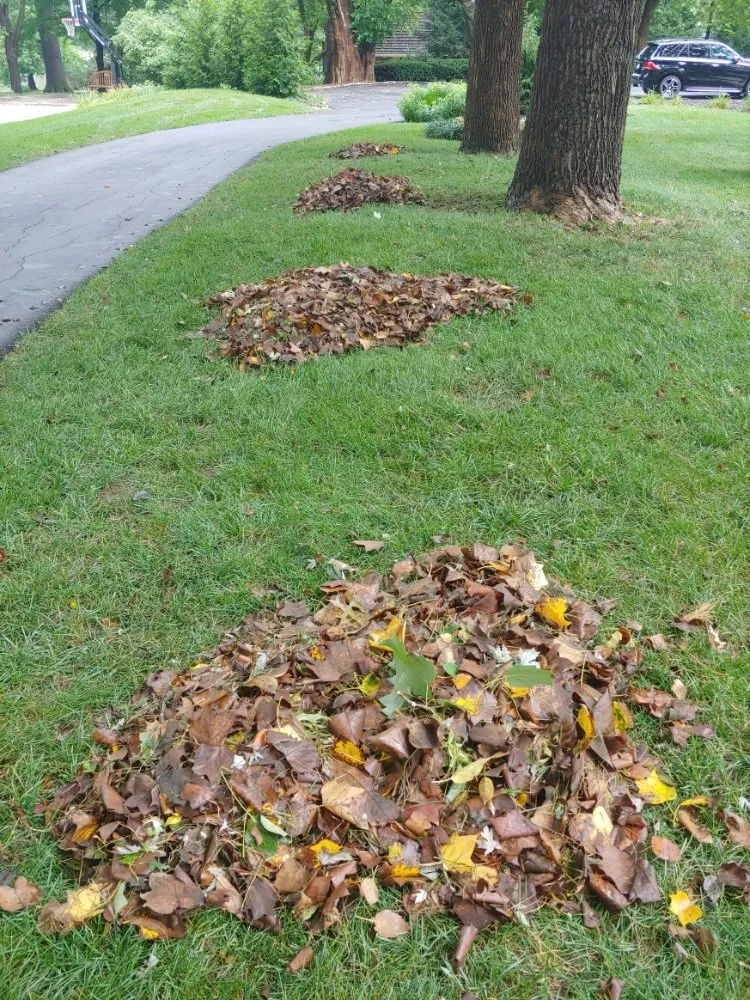 Trusted lawn care service with custom design across Lenexa, KS - Modern Marvels