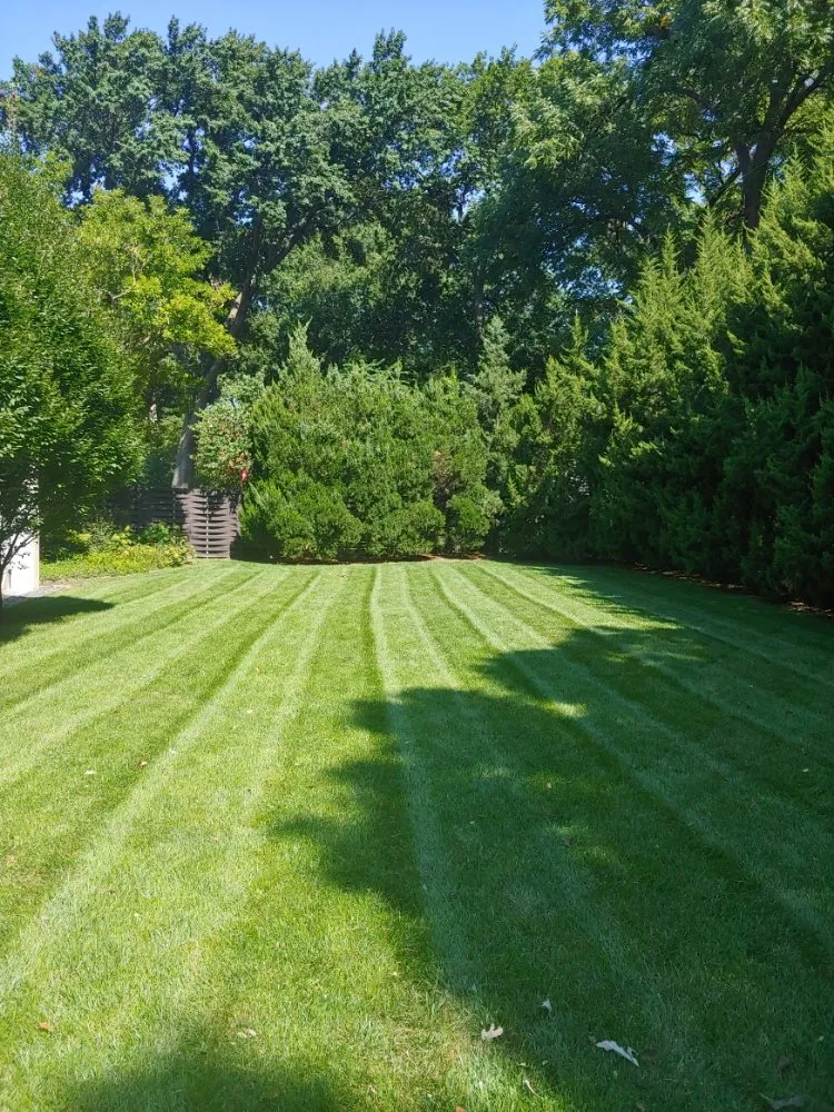 Trusted yard maintenance for residential properties across Lenexa, KS - Modern Marvels